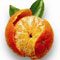 Mandarina